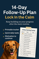 14-Day Follow-Up Plan: Lock In the Calm