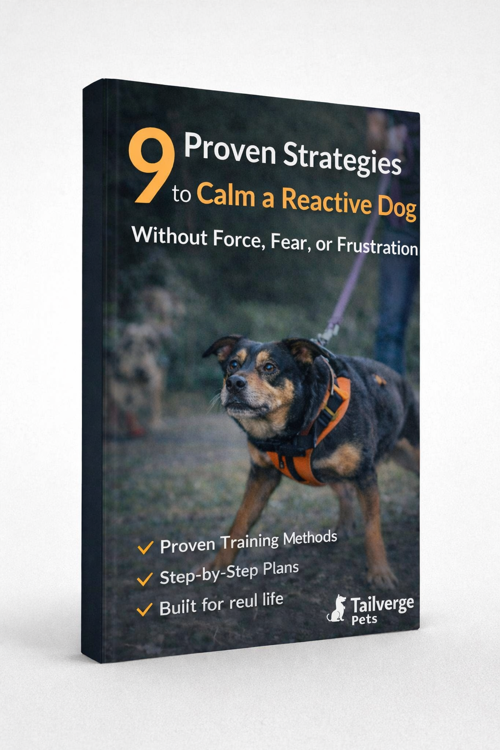 9 Proven Strategies to Calm a Reactive Dog (Force-Free Training Guide)