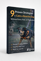 9 Proven Strategies to Calm a Reactive Dog (Force-Free Training Guide)