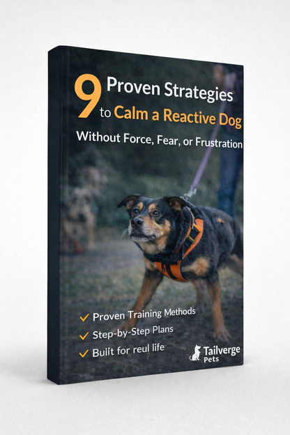 9 Proven Strategies to Calm a Reactive Dog (Force-Free Training Guide)