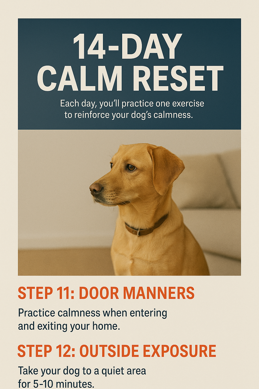 14-Day Follow-Up Plan: Lock In the Calm