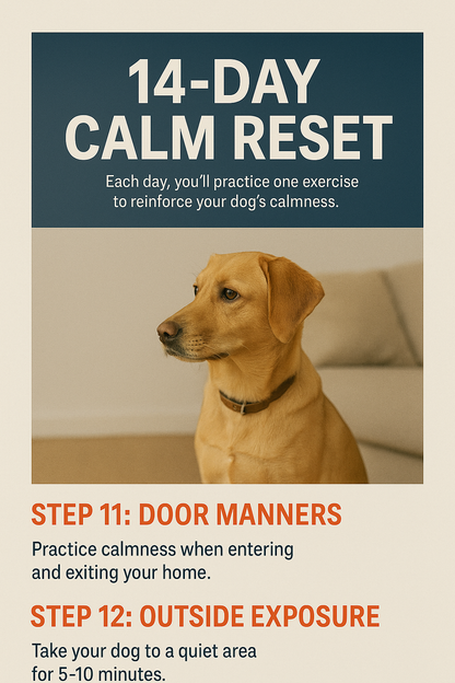 14-Day Follow-Up Plan: Lock In the Calm